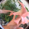 maria.cidinha.55