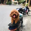 phamlecuong79