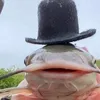 felipinhochris