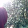 dewikusumawati239