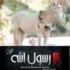 ayselahmed890
