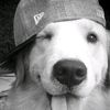 raxxxzzz11