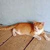 nzlstore23