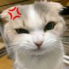 juezin5