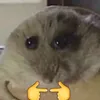 i..........l3