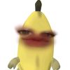 ini_zizi2