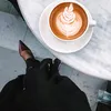 alia_a.20