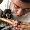 idrogod