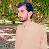 muhammadirfan8236