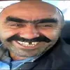 goluboi_zver