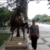 lovelygirlzalap20