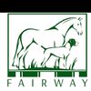 fairwaysporthorses