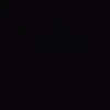 snq007
