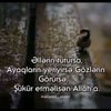 user1986207209211