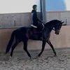 jakob.fdg