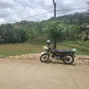 xxbadakxx