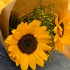 namlun_23050