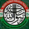 yar_group_msf.013