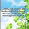 yeuchinhminh78