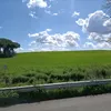 f3d3rica90