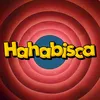 hahabisca0