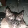 kxazzix
