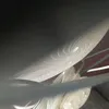staaaaa38