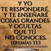 fernadez41