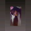 samoka_19