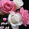 user7493222646106