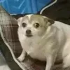 sessentaetwo
