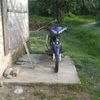 _jupe_hasil_padi3