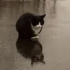 cuteephomaique_0