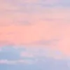 gr3y09