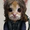 twd.fan.zik