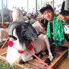aganandriansyah