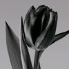 nadine7910