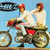 mz..82
