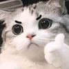 ti_tle003