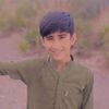 f_balucc1