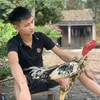 datkaka_263