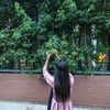 mitu0181