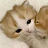 xx_april_xxbr0ther
