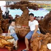 phucgolua