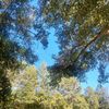 williambryant9455