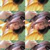 ykb3llaa.4