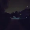 .zinovi