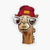 maalmo_252