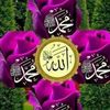 user2958781504611