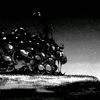 nams.shadow